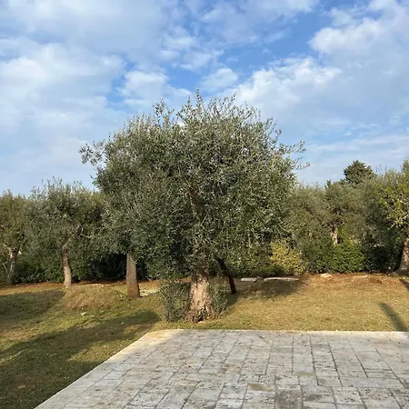 Villa La Chianca Rosa Di Balice *