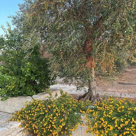 Villa La Chianca Rosa Di Balice